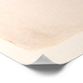 Commodore Stephen Decatur Poster (Hoek)