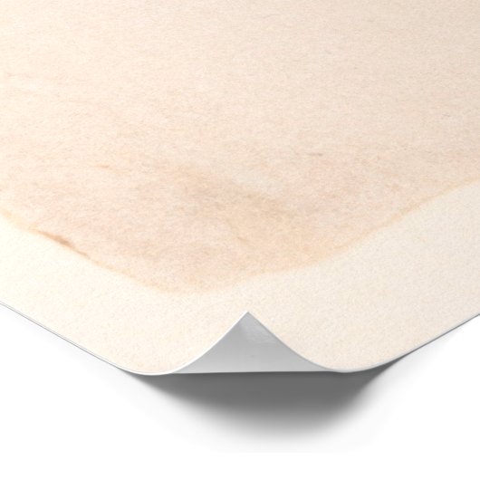 Commodore Stephen Decatur Poster (Hoek)