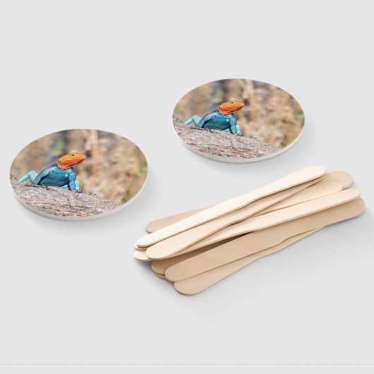 Common Agama Handwaaier (Niet-gemonteerd)