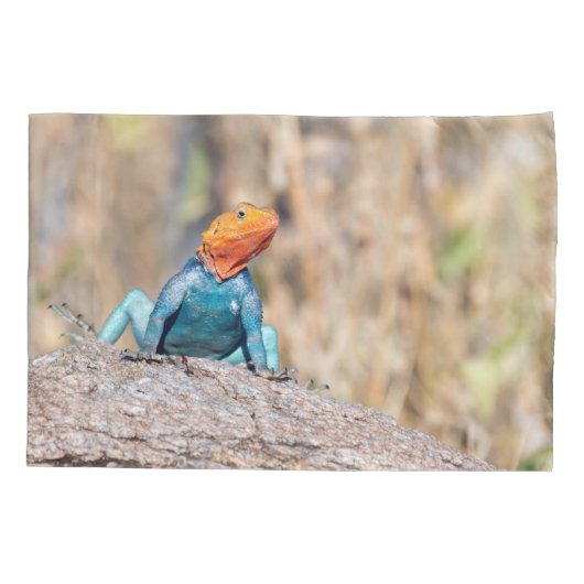 Common Agama Kussensloop (Achterkant)