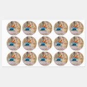 Common Agama Labels (Vel)