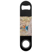 Common Agama Speed Flessenopener (Achterkant)