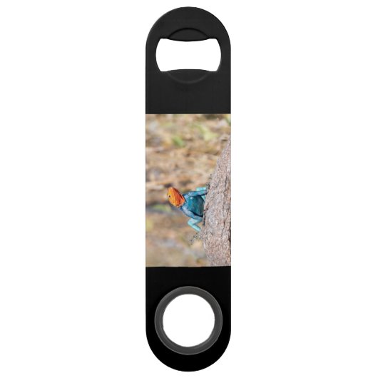 Common Agama Speed Flessenopener (Voorkant)