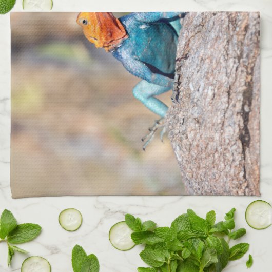 Common Agama Theedoek (Gevouwen)