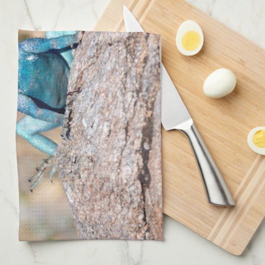 Common Agama Theedoek (Quarter Fold)