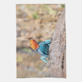 Common Agama Theedoek (Verticaal)