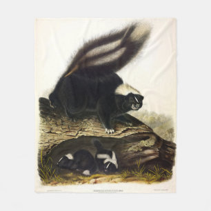 Common American Skunk of Gestreepte Skunk, door Au Fleece Deken