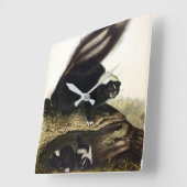 Common American Skunk of Gestreepte Skunk, door Au Vierkante Klok (Hoek)