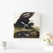 Common American Skunk of Gestreepte Skunk, door Au Vierkante Klok (Huis)