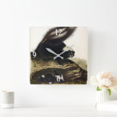 Common American Skunk of Gestreepte Skunk, door Au Vierkante Klok (Huis)