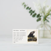 Common American Skunk of Gestreepte Skunk, door Au Visitekaartje (Staand voorkant)