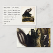 Common American Skunk of Gestreepte Skunk, door Au Visitekaartje (Voorkant / Achterkant)