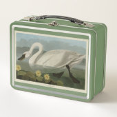 Common American Swan - Audubon's vogels van Amerik (Voorkant)