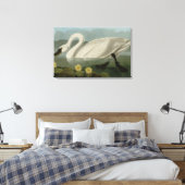 Common American Swan - Audubon's vogels van Amerik Canvas Afdruk (Insitu (Slaapkamer))