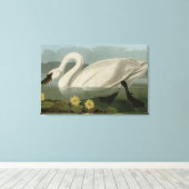 Common American Swan - Audubon's vogels van Amerik Canvas Afdruk (Insitu (Houten vloer))