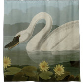 Common American Swan - Audubon's vogels van Amerik Douchegordijn (Voorkant)