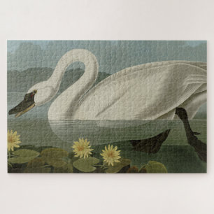 Common American Swan - Audubon's vogels van Amerik Legpuzzel