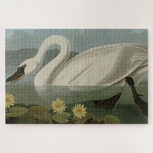 Common American Swan - Audubon's vogels van Amerik Legpuzzel (Horizontaal)