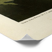 Common American Swan - Audubon's vogels van Amerik Poster (Hoek)