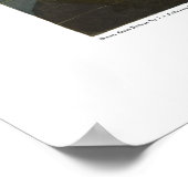 Common American Swan, Bord 411 - Audubon Poster (Hoek)