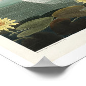 Common American Swan door Audubon Poster (Hoek)