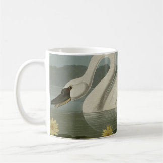 Common American Swan Koffiemok