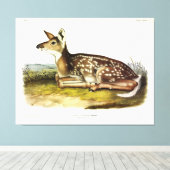 Common American (White-tailed) Deer, flawn, Audubo Canvas Afdruk (Insitu (Houten vloer))