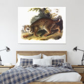 Common American Wild Cat (Bobcat) Audubon Canvas Afdruk (Insitu (Slaapkamer))