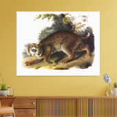 Common American Wild Cat (Bobcat) Audubon Canvas Afdruk (Insitu (Woonkamer))