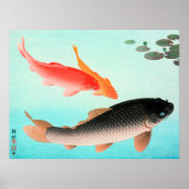 Common and Golden Carp Poster (Voorkant)