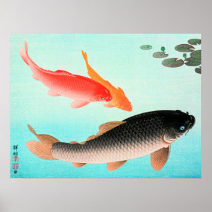 Common and Golden Carp Poster
