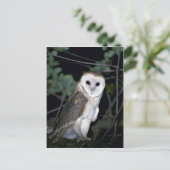 Common barn-owl, Tyto alba, Californië, VS Briefkaart (Staand voorkant)