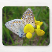 Common Blue Butterflies Mouse Mat Muismat (Voorkant)
