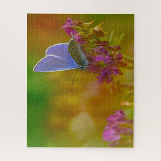 Common Blue Butterfly . Legpuzzel (Verticaal)