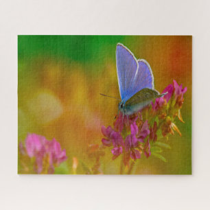 Common Blue Butterfly . Legpuzzel