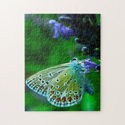 Common Blue Butterfly . Legpuzzel (Verticaal)