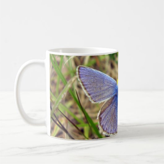 Common Blue Butterfly Mok (Links)