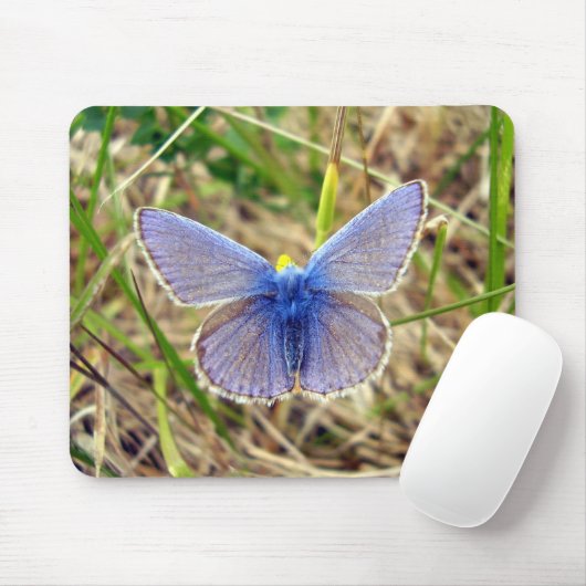 Common Blue Butterfly-muis Muismat (Met muis)