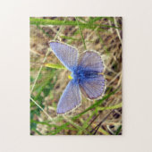 Common Blue Butterfly Photo Puzzle with Gift Box Legpuzzel (Verticaal)