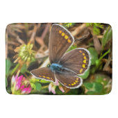 Common Blue Butterfly Polyommatus Icarus Painting Badmat (Voorkant)