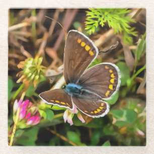 Common Blue Butterfly Polyommatus Icarus Painting Glazen Onderzetter