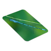 Common Blue Damselfly Magnet Magneet (Rechterzijde)