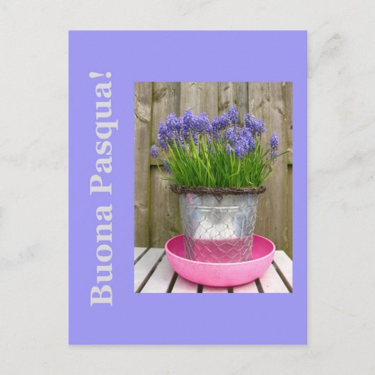 Common blue hyacints easter groet - italiaans feestdagenkaart (Voorkant)