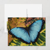 Common Blue Morpho Butterfly Briefkaart (Voorkant / Achterkant)