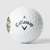 Common Bluebottle ゴルフボール Golfballen (Logo)