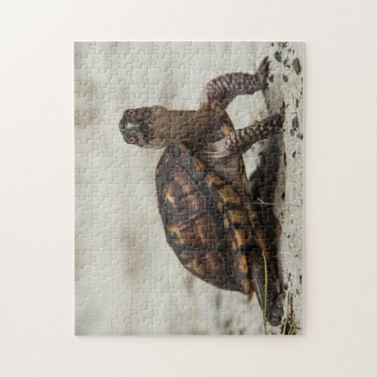 Common box schildpad legpuzzel (Verticaal)