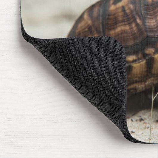 Common box schildpad muismat (Hoek)