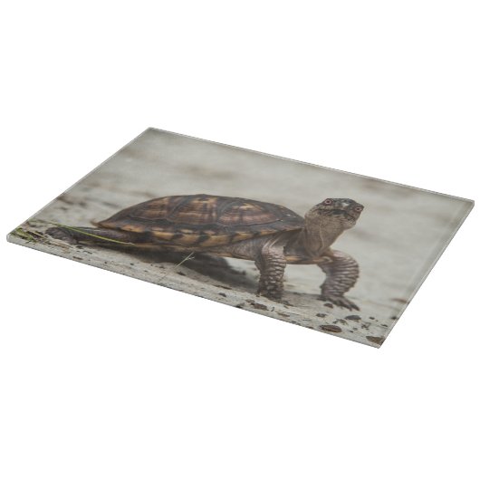 Common box schildpad snijplank (Hoek)