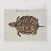 Common Box Tortoise Briefkaart (Voorkant)