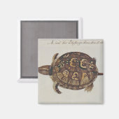 Common Box Tortoise Magneet (Voorkant / Achterkant)